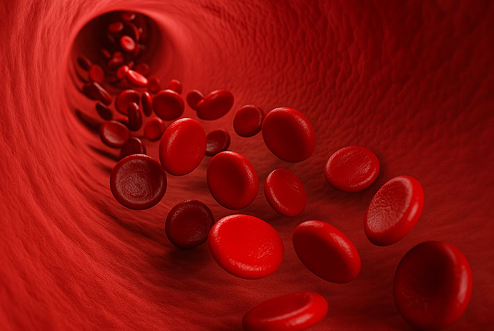 Blood Flow