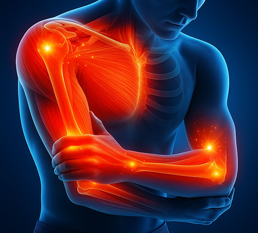Joint & Muscle Recovery